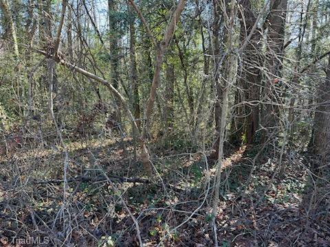 Lot 23 Woodruff Road, Jonesville, North Carolina image 6