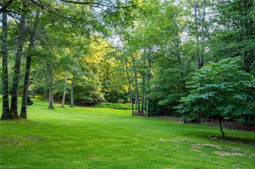 290 Stardust Lane, Glade Valley, North Carolina image 36