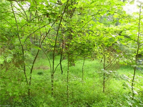 Vacant Land For Sale - Rowe Road<br/> Lexington, NC 27295