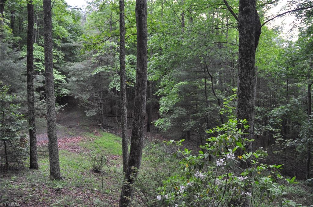 4091 Big Ivy Road, Purlear, North Carolina image 13