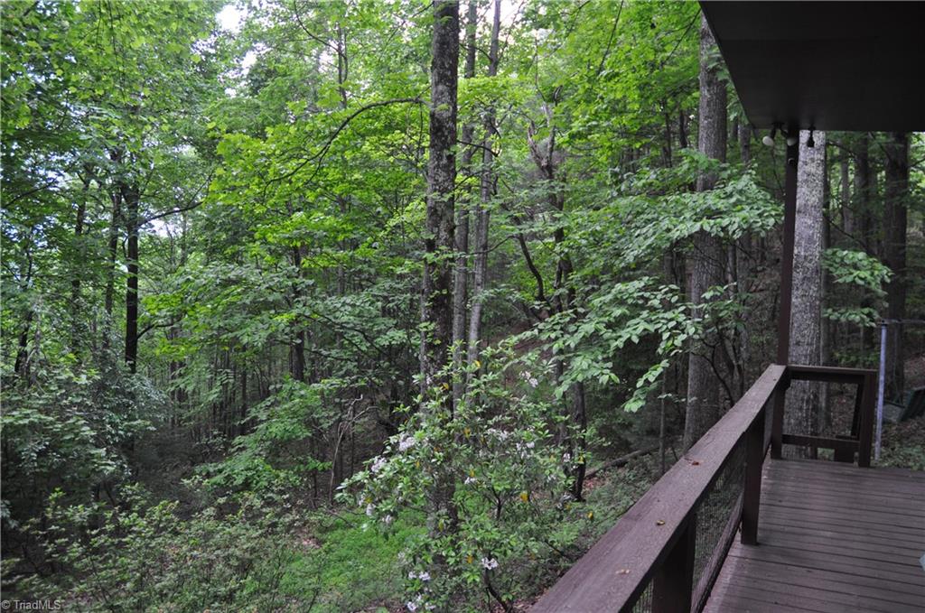 4091 Big Ivy Road, Purlear, North Carolina image 12