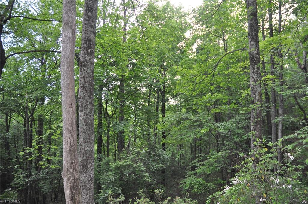 4091 Big Ivy Road, Purlear, North Carolina image 10