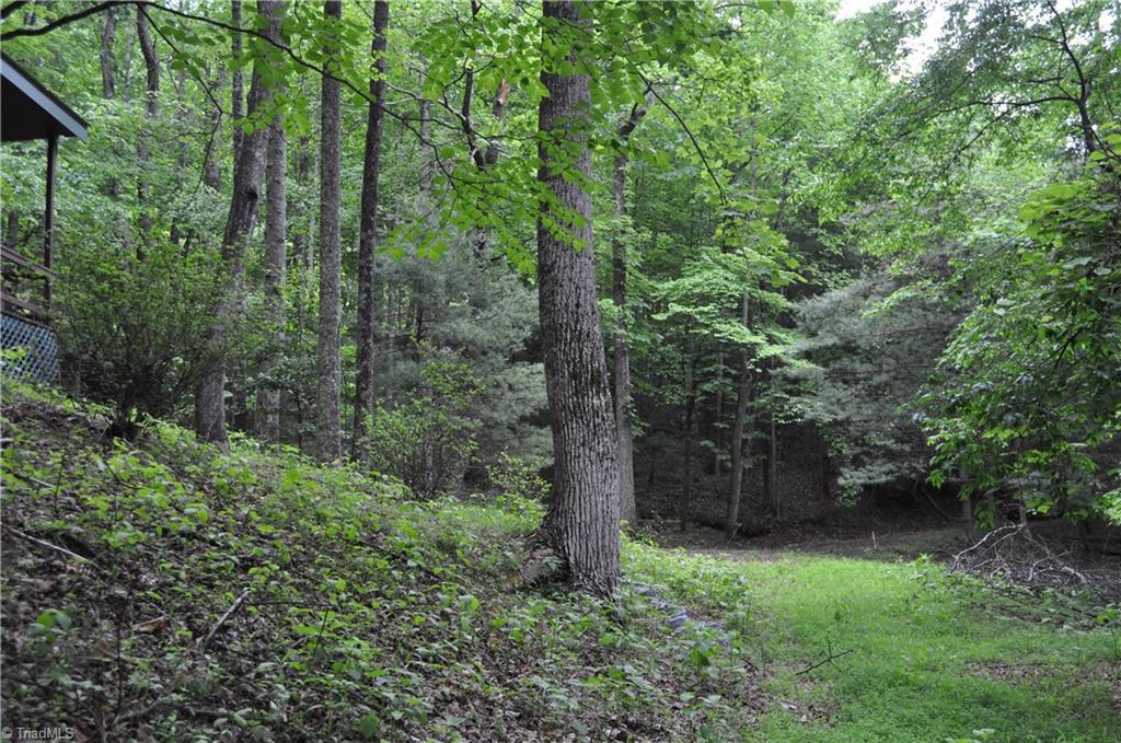 4091 Big Ivy Road, Purlear, North Carolina image 44