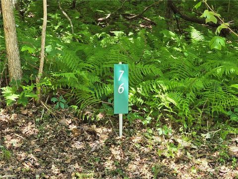 Vacant Land For Sale - TBD 76 White Tail Trail<br/> Ashe County, West Jefferson, NC 28694