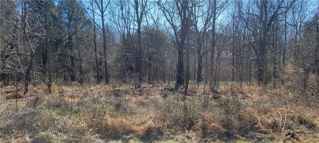 5438 Wild Turkey Road, Whitsett, North Carolina image 2
