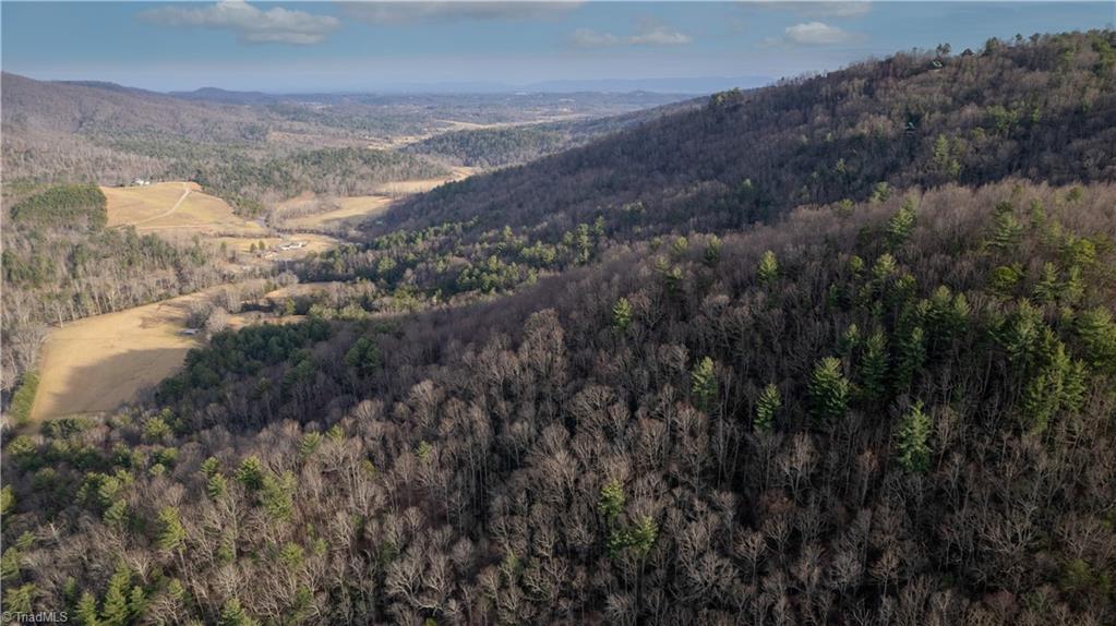 TBD Parsonsville Road, Purlear, North Carolina image 8
