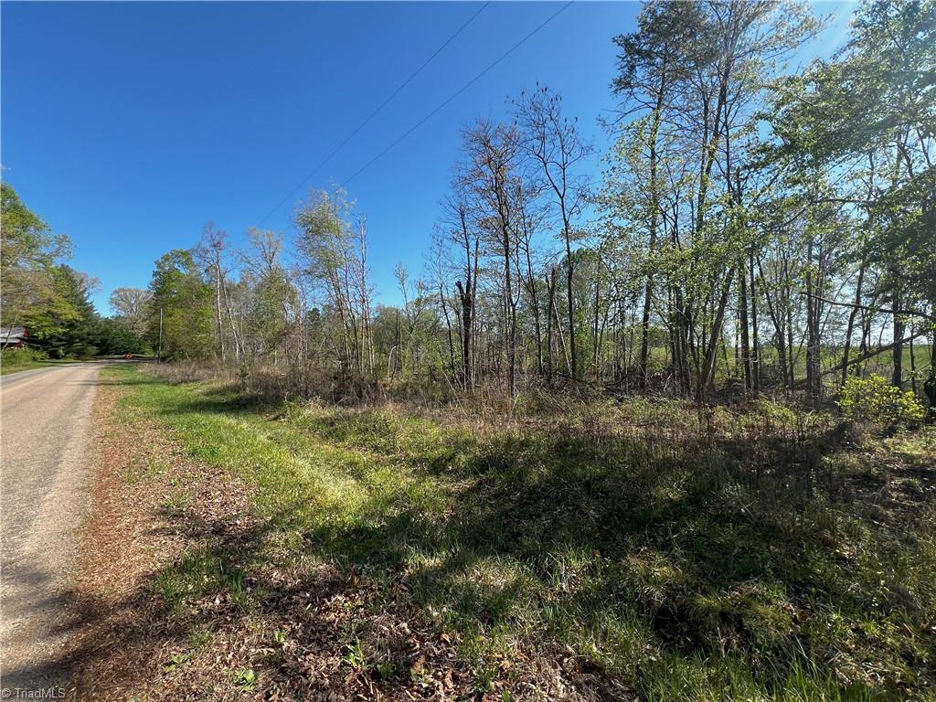 Jarvis Plantation Road, Dobson, North Carolina image 18