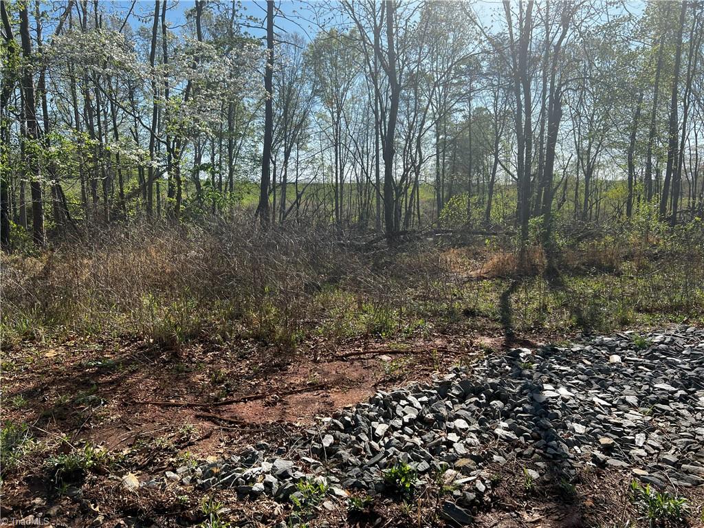 Jarvis Plantation Road, Dobson, North Carolina image 19