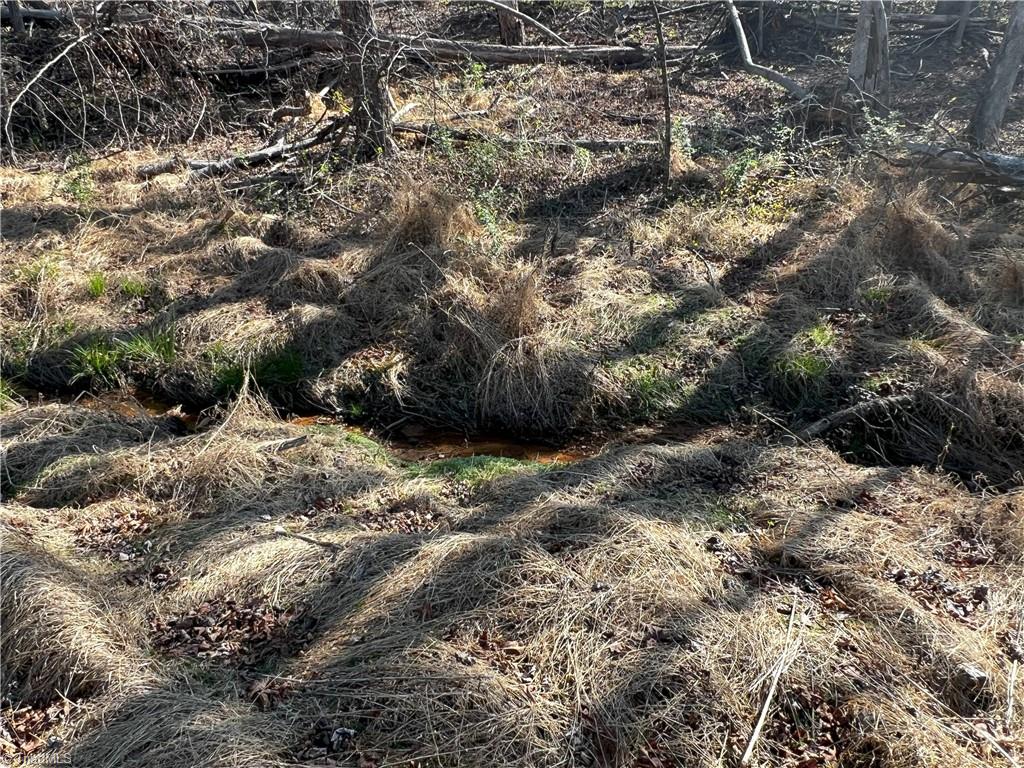 Jarvis Plantation Road, Dobson, North Carolina image 23