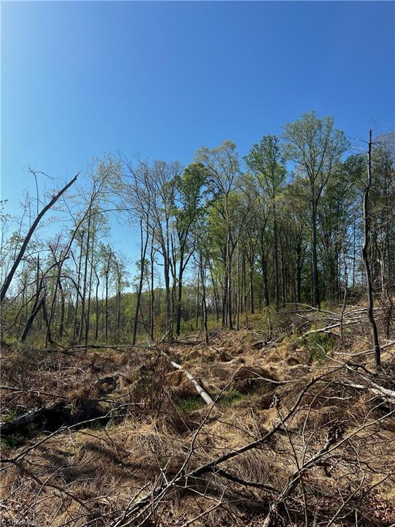 Jarvis Plantation Road, Dobson, North Carolina image 22