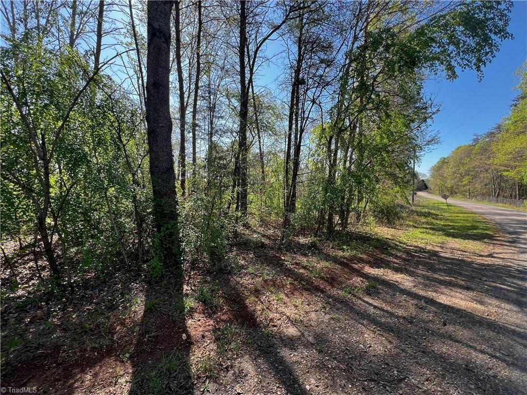 Jarvis Plantation Road, Dobson, North Carolina image 17