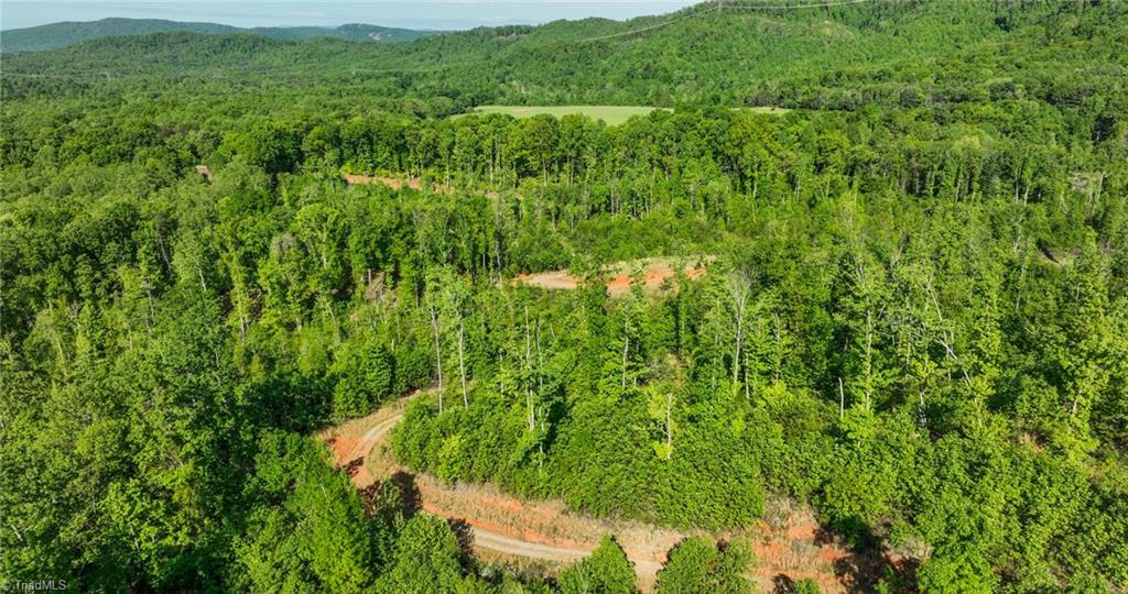 000 Swaringen Road, Traphill, North Carolina image 26