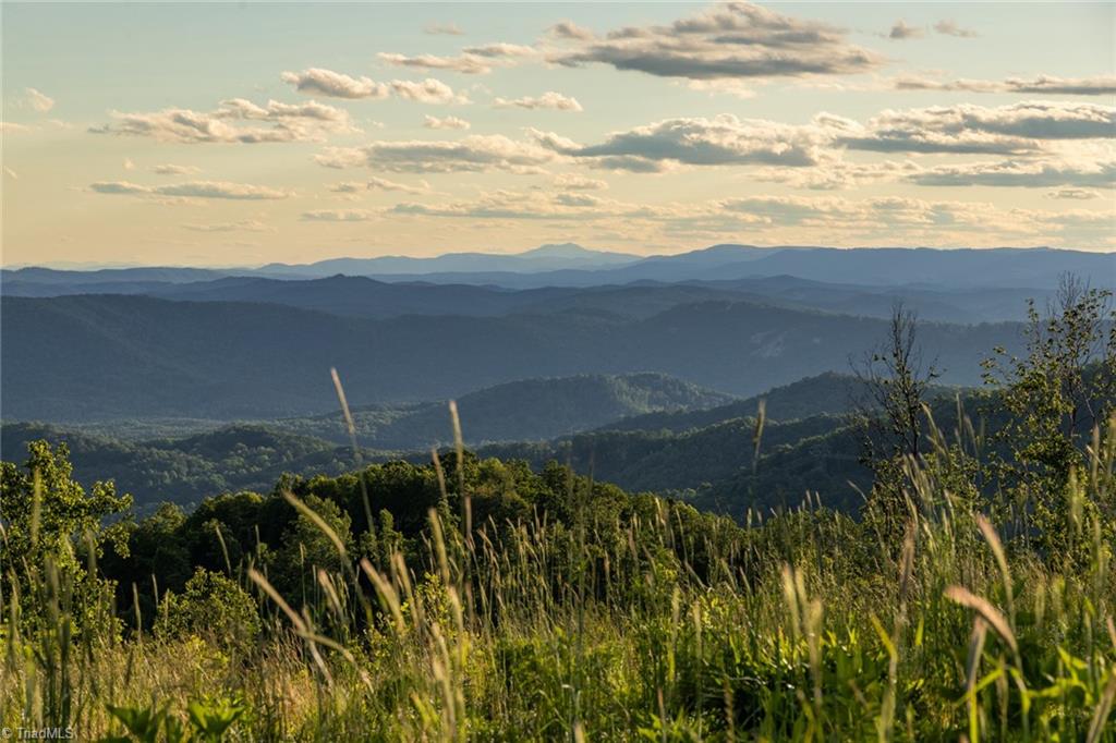 000 Swaringen Road, Traphill, North Carolina image 22