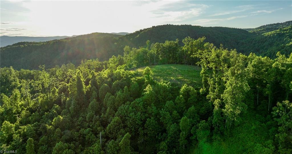 000 Swaringen Road, Traphill, North Carolina image 38