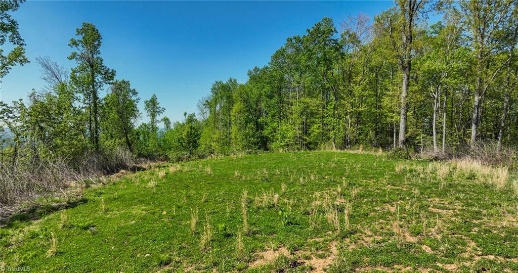 000 Swaringen Road, Traphill, North Carolina image 34