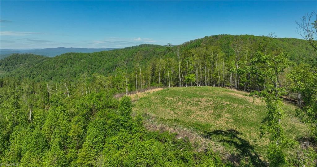 000 Swaringen Road, Traphill, North Carolina image 32