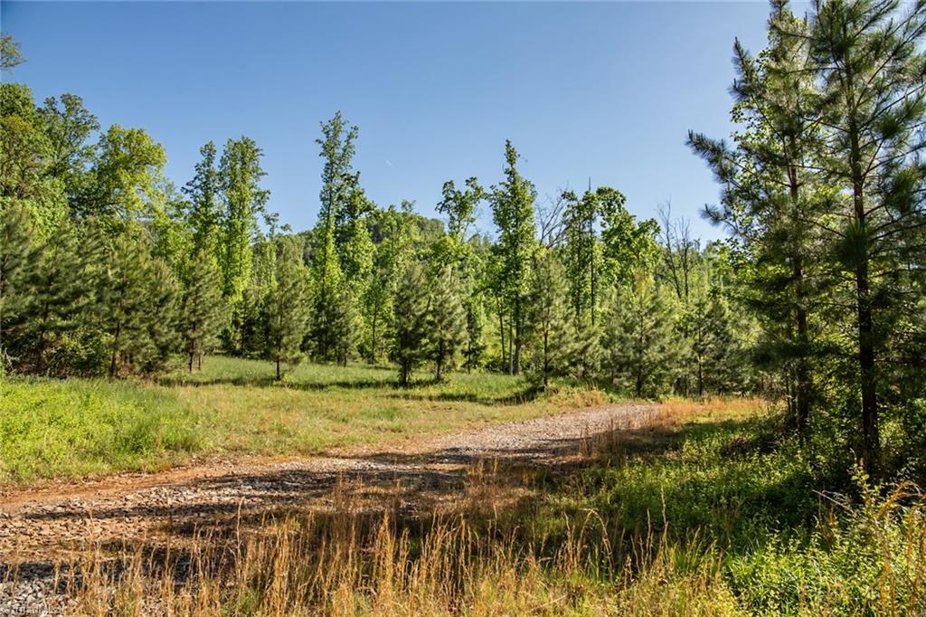 000 Swaringen Road, Traphill, North Carolina image 9