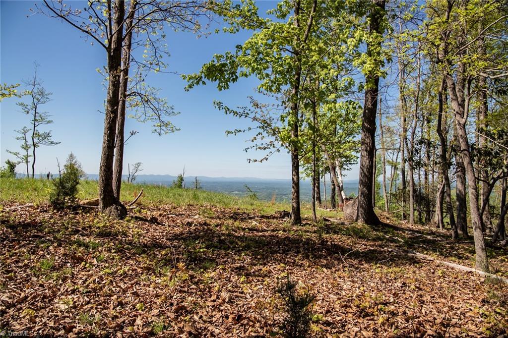 000 Swaringen Road, Traphill, North Carolina image 3