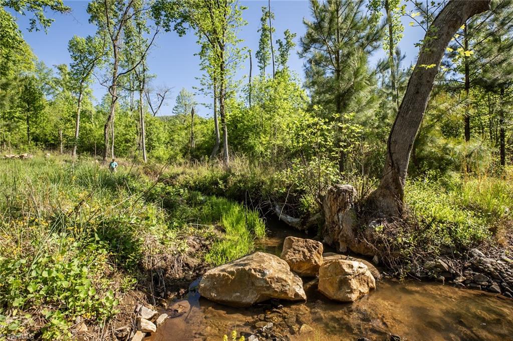 000 Swaringen Road, Traphill, North Carolina image 5