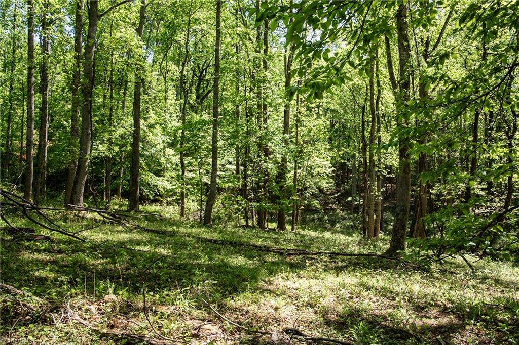 000 Swaringen Road, Traphill, North Carolina image 14