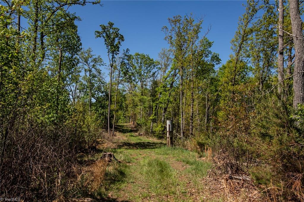 000 Swaringen Road, Traphill, North Carolina image 19