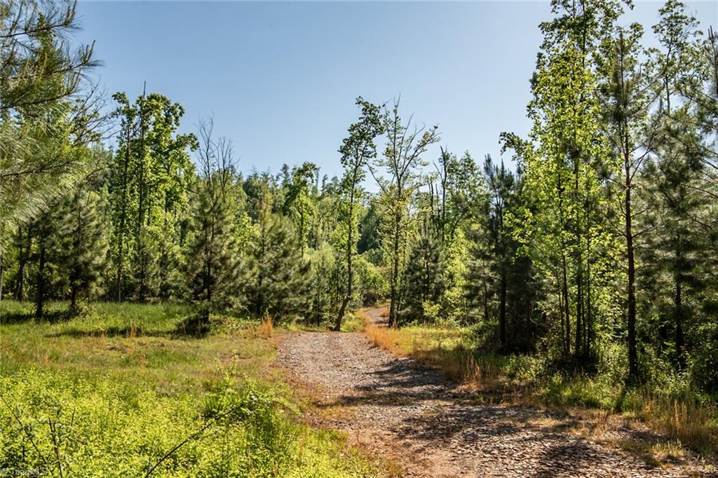 000 Swaringen Road, Traphill, North Carolina image 8