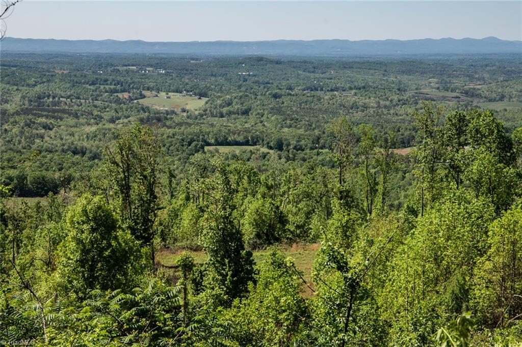 000 Swaringen Road, Traphill, North Carolina image 13