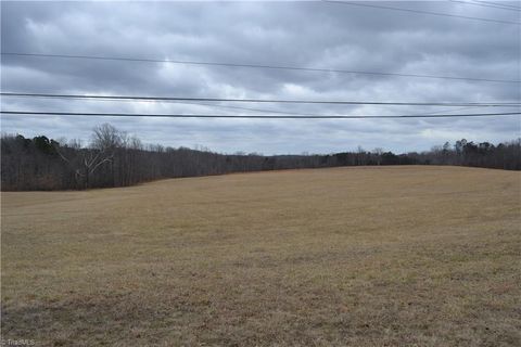Vacant Land For Sale - 38 ACRES Nc Highway 770<br/> Rockingham County, Stoneville, NC 27048