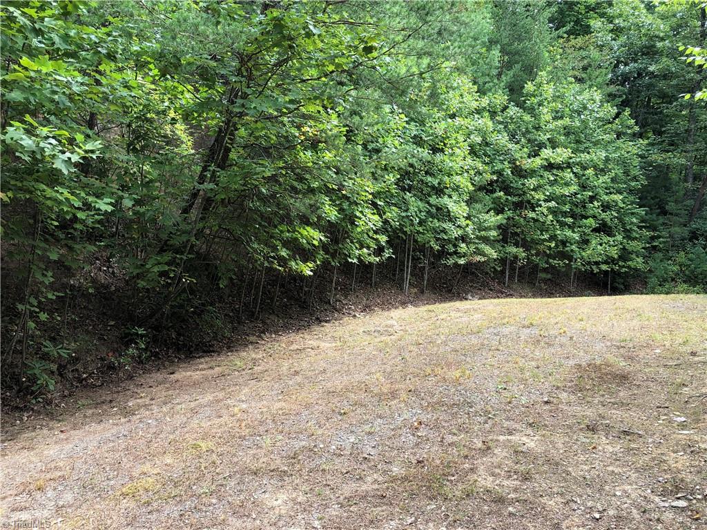 Lot 5B Valley View Drive, Purlear, North Carolina image 5