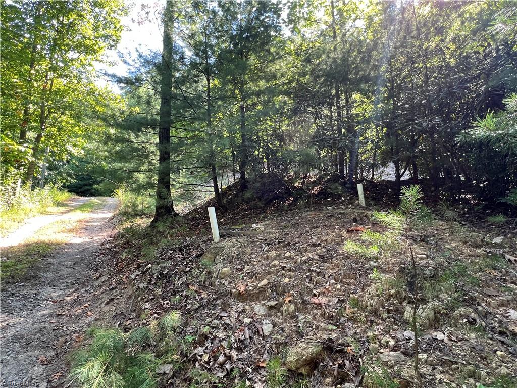 Lot 5B Valley View Drive, Purlear, North Carolina image 14