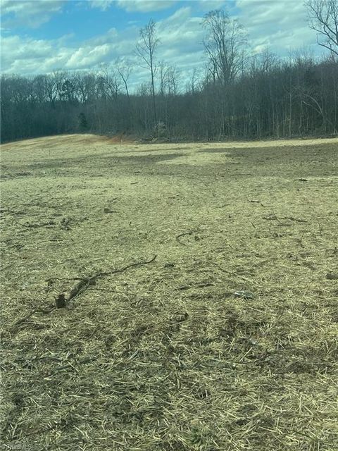 Vacant Land For Sale - 195 H L Palmer Road<br/> Lexington, NC 27292