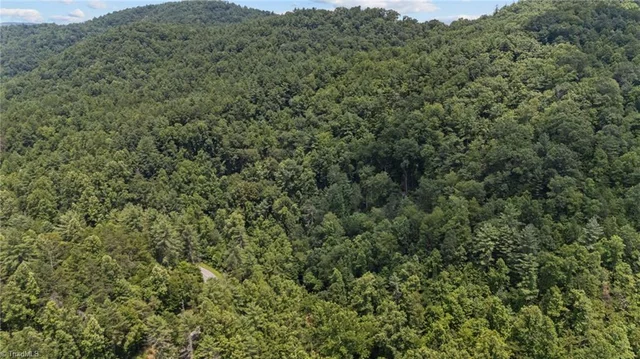 1296 Sheets Gap Road, photo 4 of 8