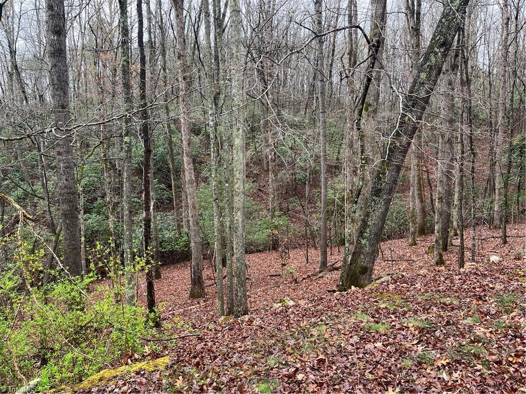 638 Orchard View Drive, Mount Airy, North Carolina image 3