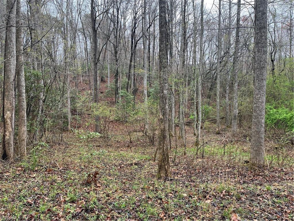 638 Orchard View Drive, Mount Airy, North Carolina image 6