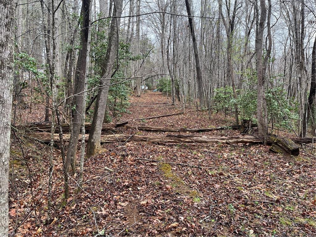 638 Orchard View Drive, Mount Airy, North Carolina image 7