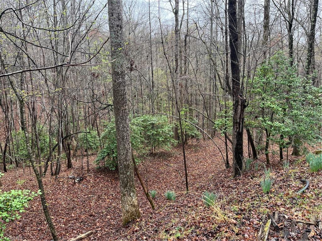 638 Orchard View Drive, Mount Airy, North Carolina image 8