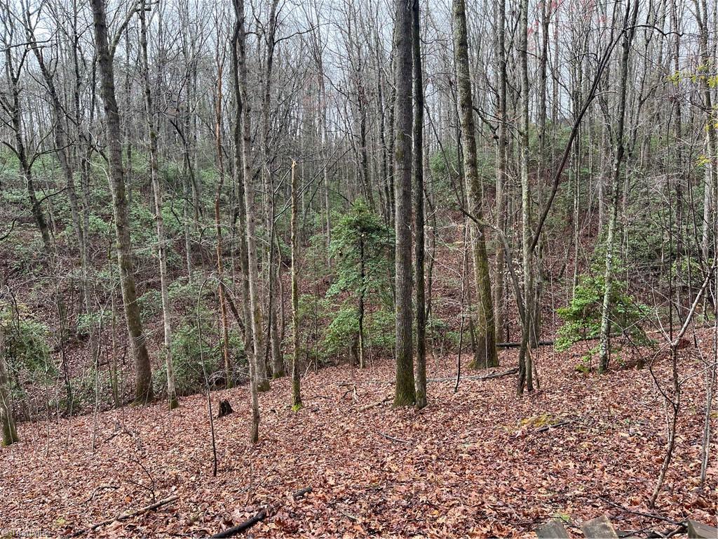 638 Orchard View Drive, Mount Airy, North Carolina image 2