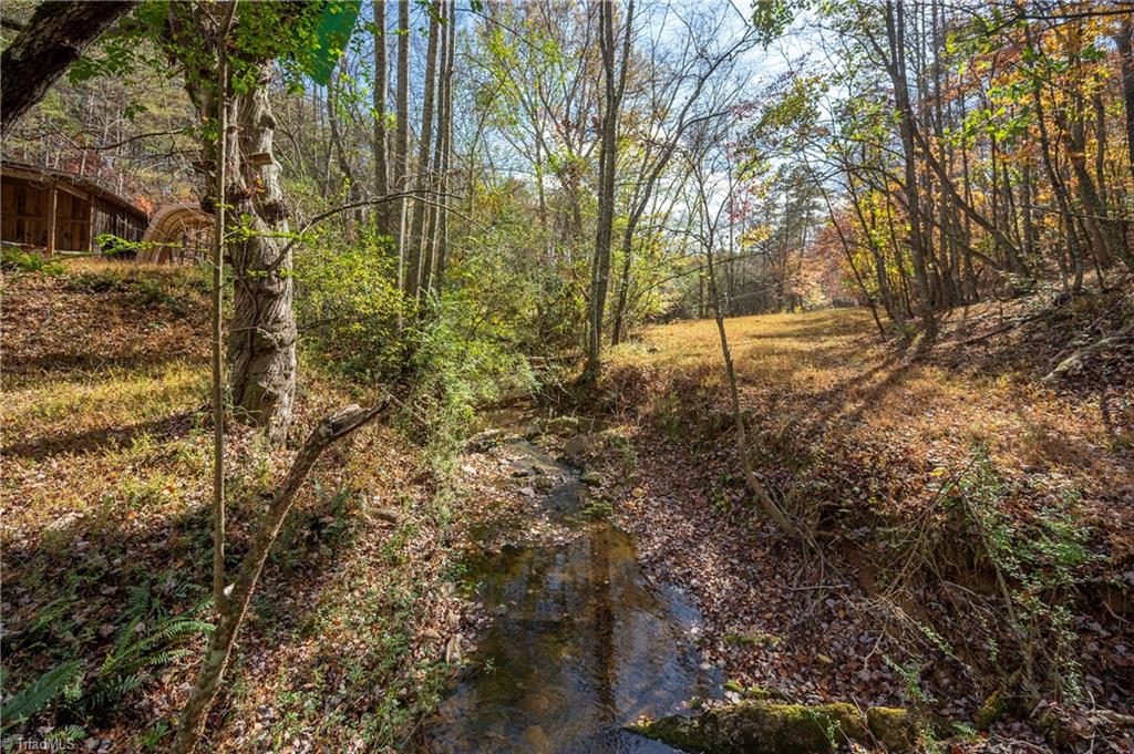 182 Bruckie Trail, Pilot Mountain, North Carolina image 41