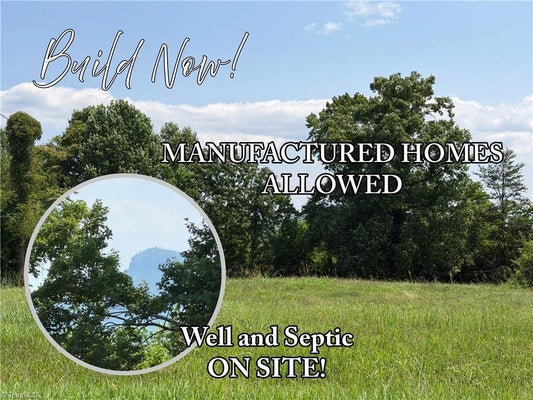 166 SPRINGFIELD RD, PILOT MOUNTAIN, NC 27041 - Image 4bc4987f7017146bdff2dfc4342b7818/3100835362
