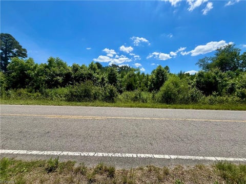 Vacant Land For Sale - Willard Road<br/> Willard, NC 28478
