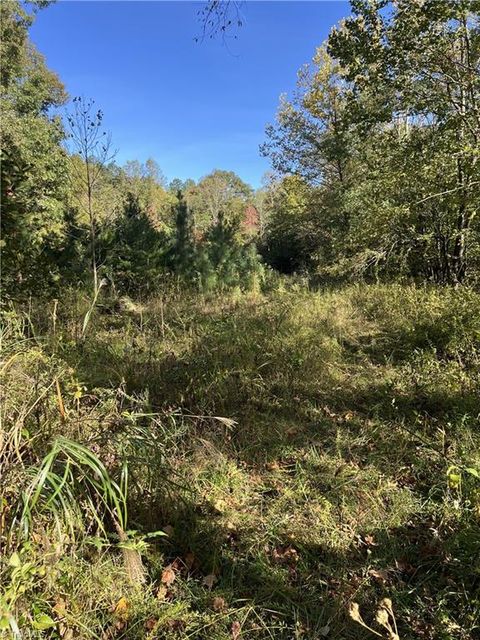Vacant Land For Sale - 0000 Royall Road<br/> Thurmond, NC 28683