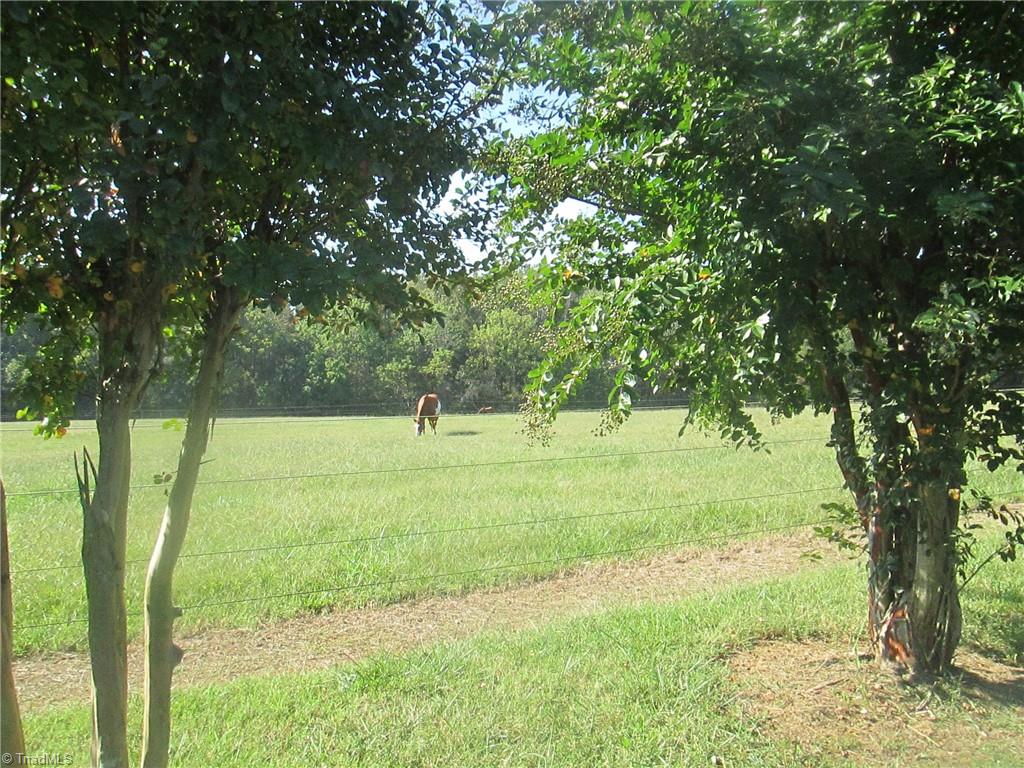 3421 Suits Road, Gibsonville, North Carolina image 22