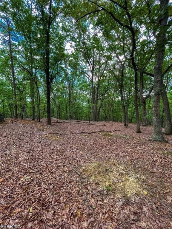 1175 Sierra Trace Road, Denton, North Carolina image 14
