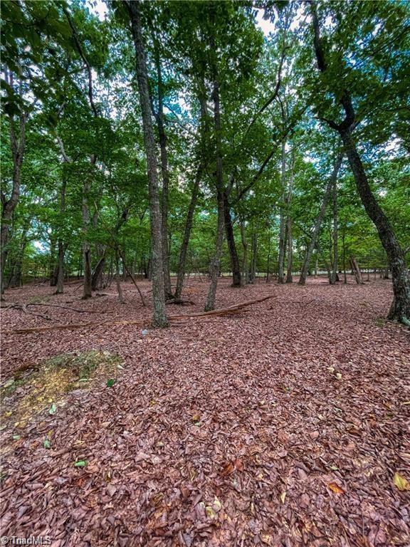 1175 Sierra Trace Road, Denton, North Carolina image 15