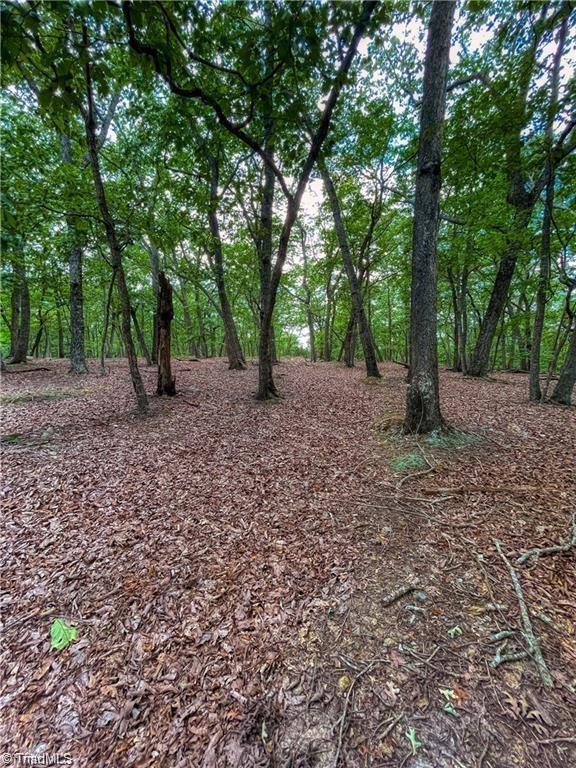 1175 Sierra Trace Road, Denton, North Carolina image 10