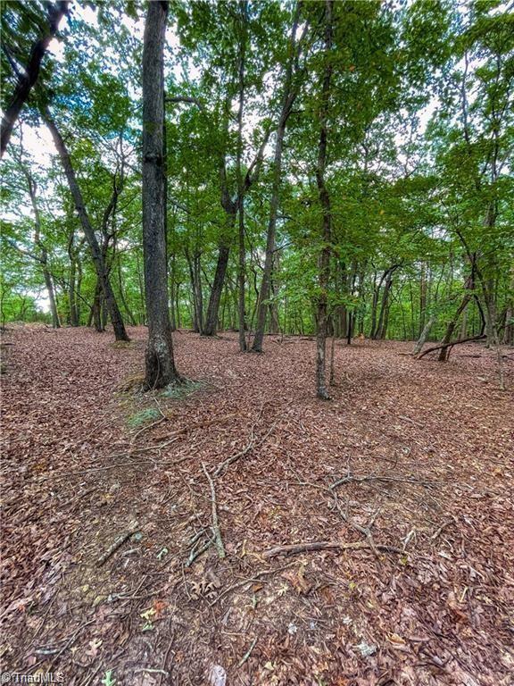 1175 Sierra Trace Road, Denton, North Carolina image 11