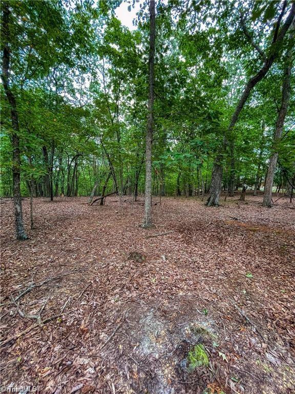 1175 Sierra Trace Road, Denton, North Carolina image 12