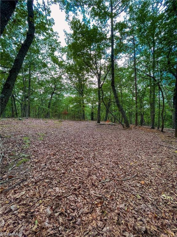 1175 Sierra Trace Road, Denton, North Carolina image 13