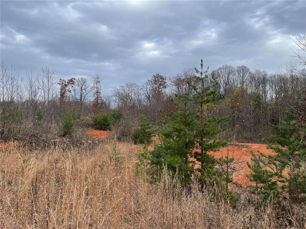 Lot 12 Pulco Lane, Ronda, North Carolina image 4