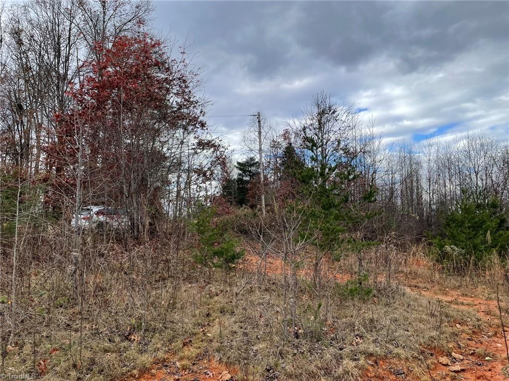 Lot 12 Pulco Lane, Ronda, North Carolina image 5